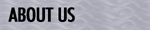 About Paragon Metals International, Inc.